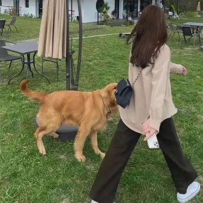 云裳仙境
