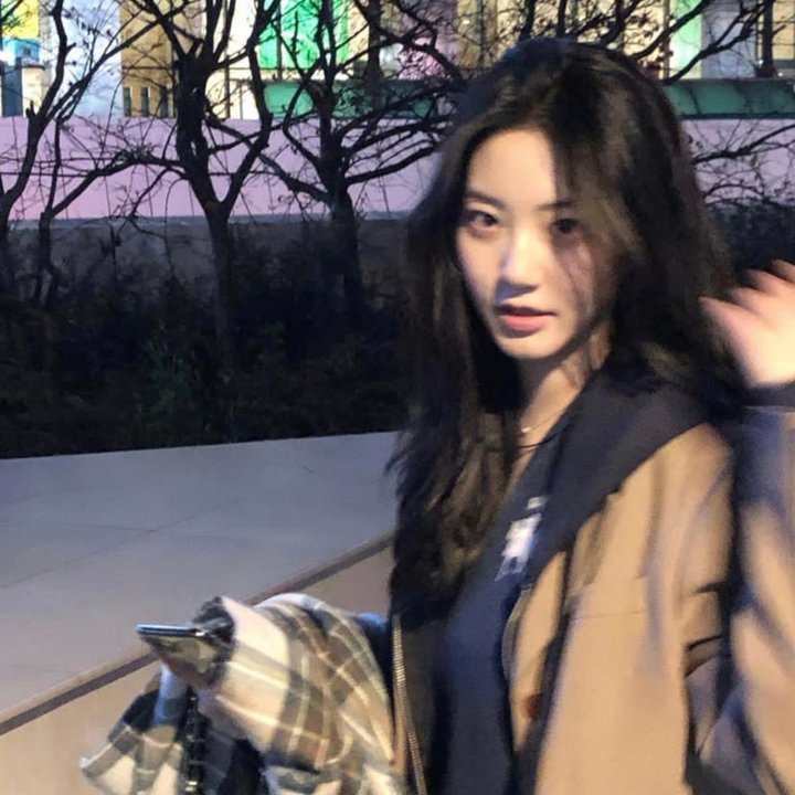 王室绯闻守则